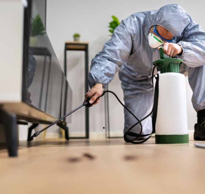 master-cleaning-website-photos